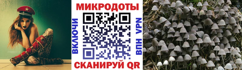 Псилоцибиновые грибы мухоморы  Шатура 